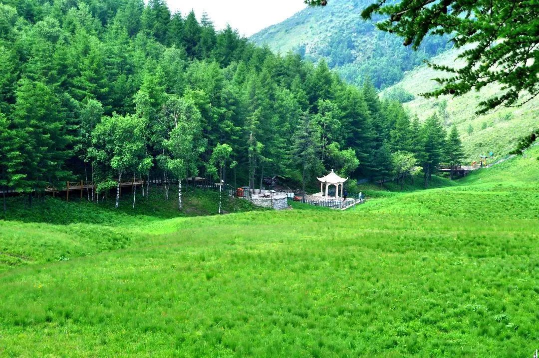 640.jpg